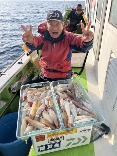 マルイカ(ケンサキイカ)