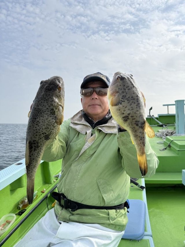 フグ(ショウサイフグ)