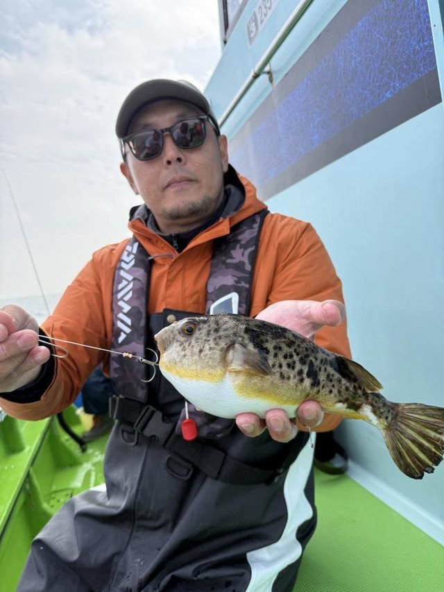 フグ(アカメフグ)