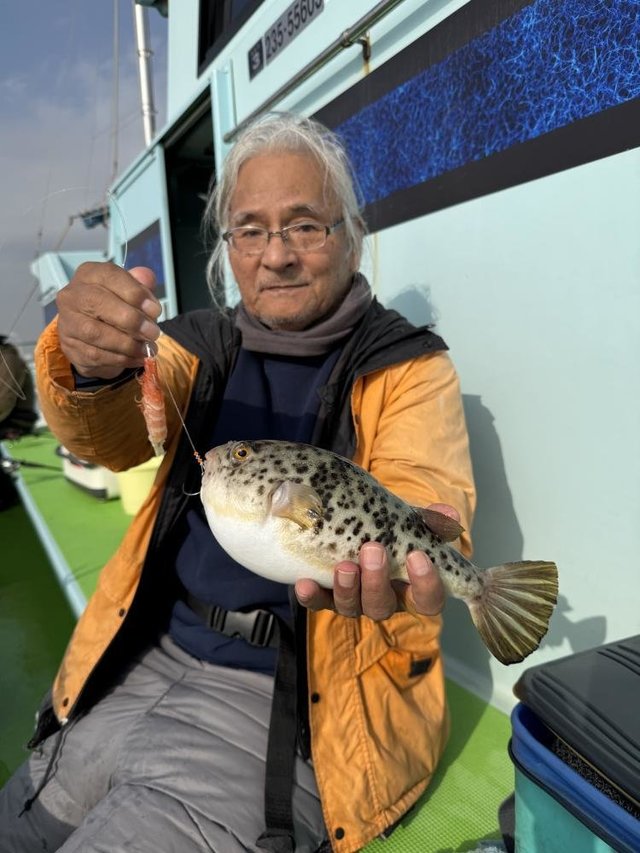 フグ(アカメフグ)