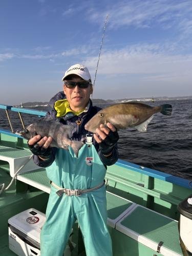 イシダイ・ウマズラ(ウマヅラハギ)