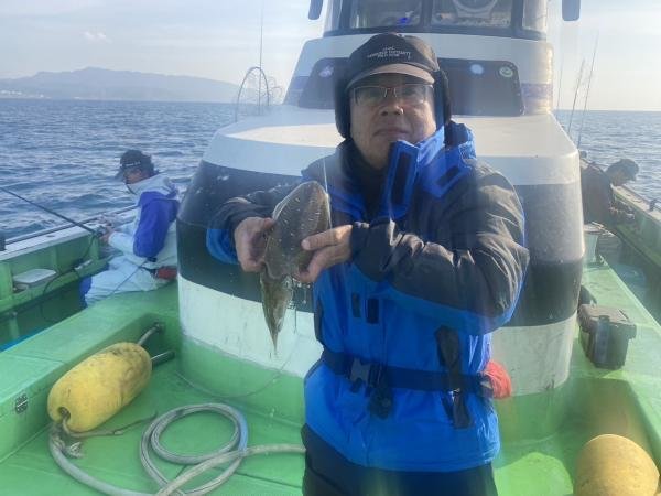 モンゴウイカ(カミナリイカ)