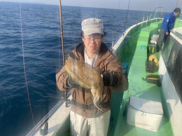 モンゴウイカ(カミナリイカ)