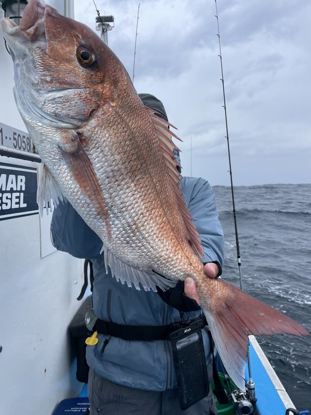 アマダイ(アカアマダイ)