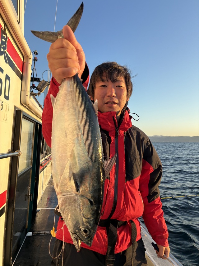 ヤイトガツオ(スマ)