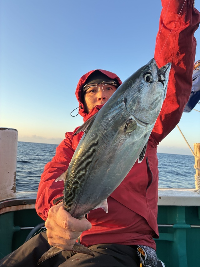 ヤイトガツオ(スマ)