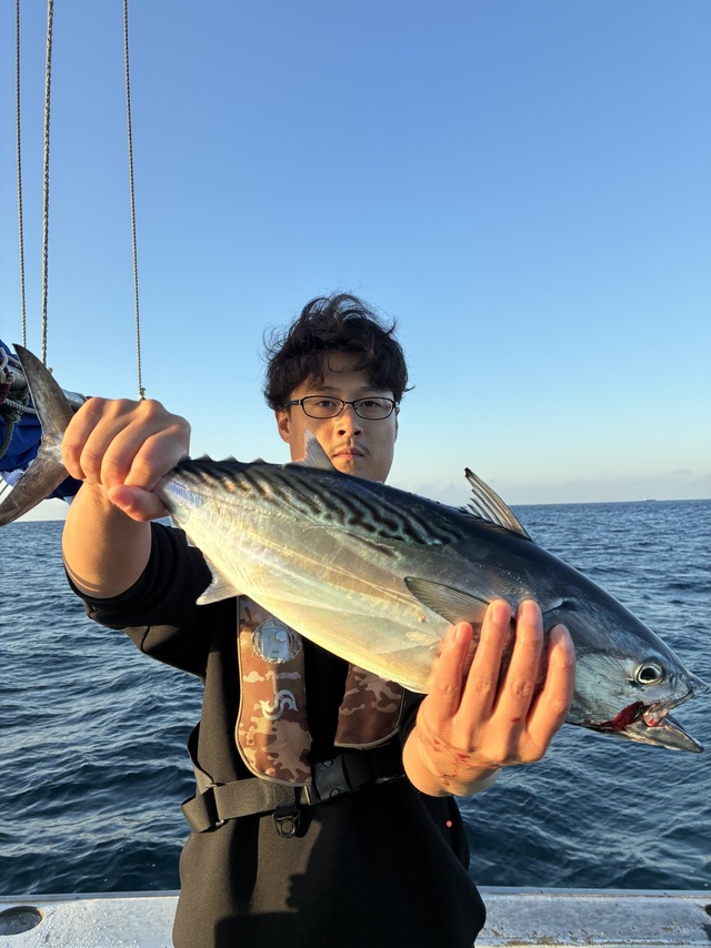 ヤイトガツオ(スマ)