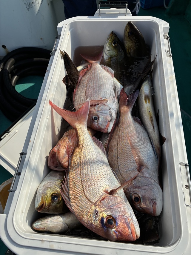 マダイ・チダイ