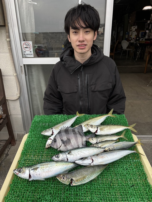 イシダイ・アジ(マアジ)