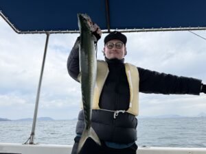 サゴシ(サワラ)