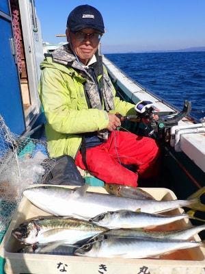 アジ(マアジ)・ブリ・イサギ(イサキ)