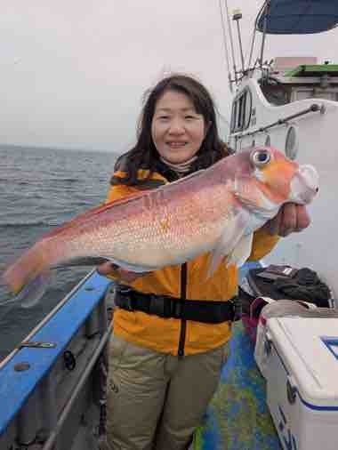 アマダイ(アカアマダイ)