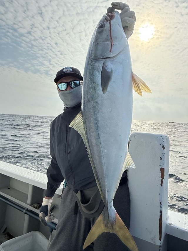 サンパク(ブリ)