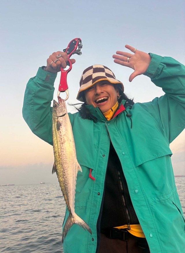 サゴシ(サワラ)