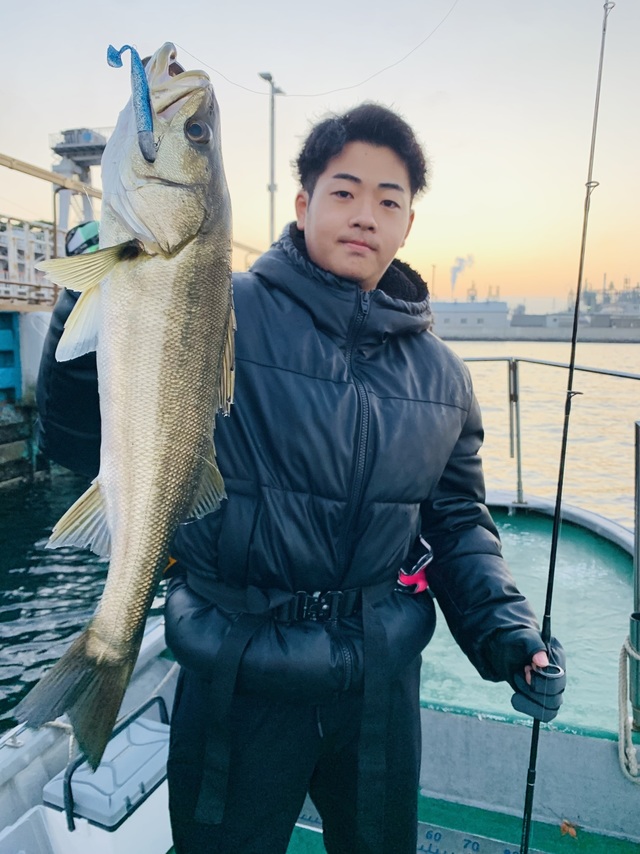 シーバス(スズキ)