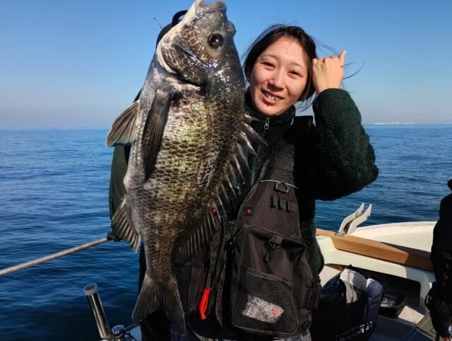 チヌ(クロダイ)