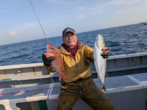 マダイ・イナダ(ブリ)