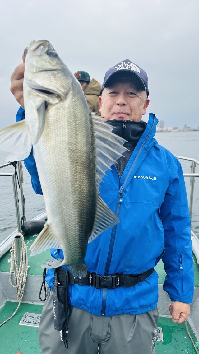 シーバス(スズキ)