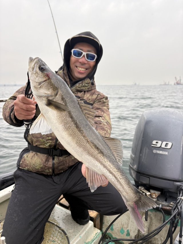 シーバス(スズキ)