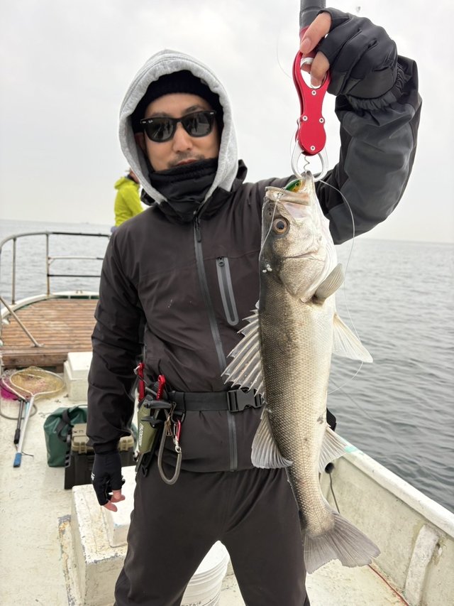 シーバス(スズキ)