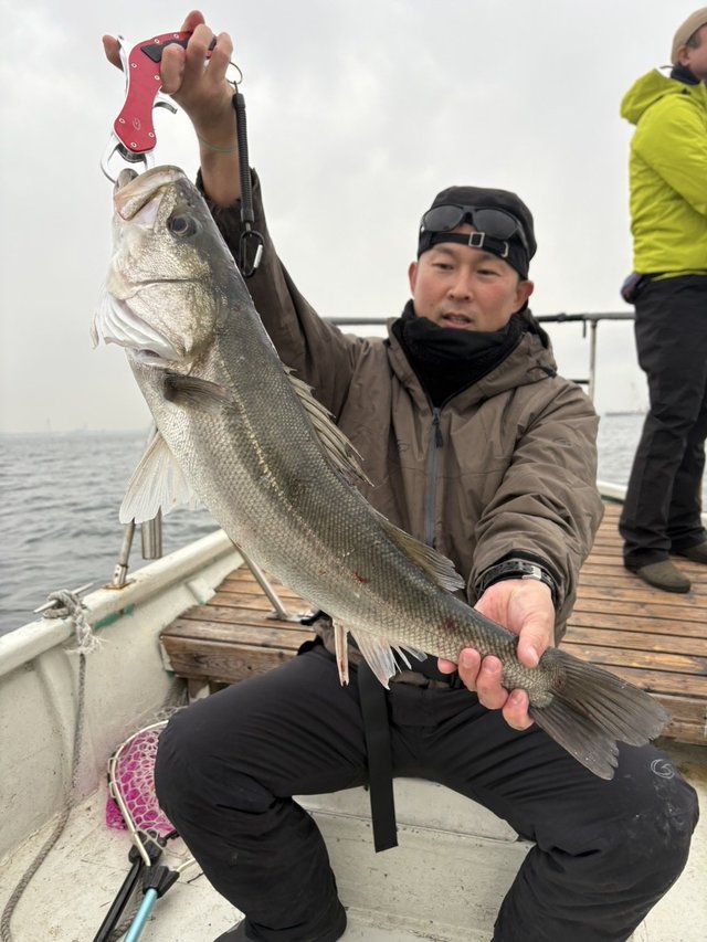 シーバス(スズキ)