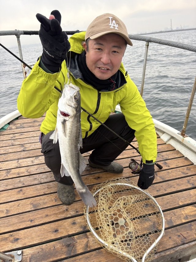 シーバス(スズキ)