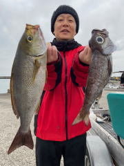 イサキ・クロムツ