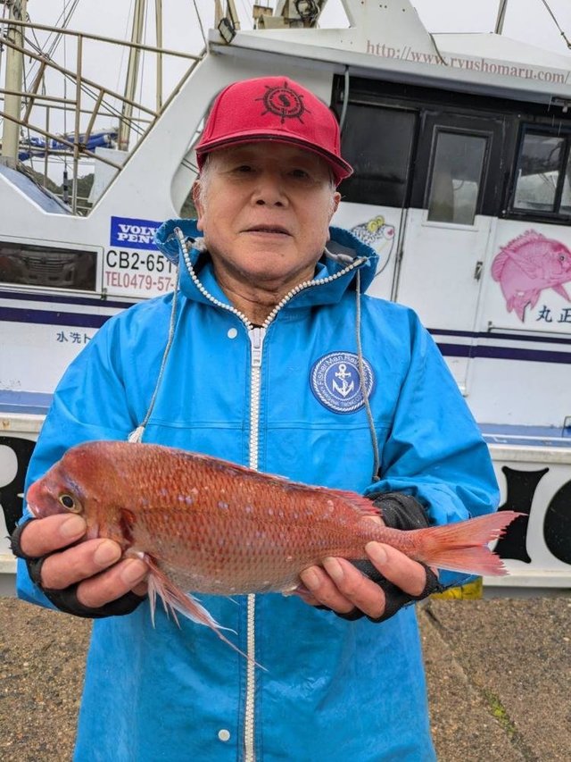 ハナダイ(チダイ)