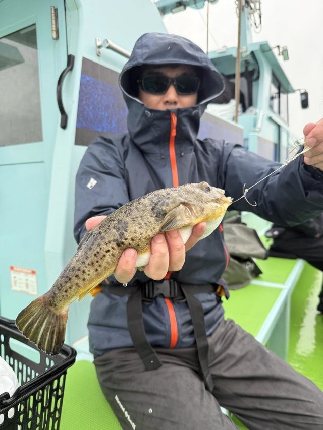 フグ(ショウサイフグ)・フグ(アカメフグ)