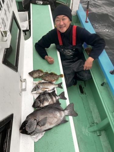 イシダイ・イサキ・フグ(ショウサイフグ)