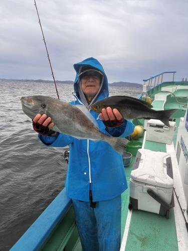 イサキ・ウスバハギ