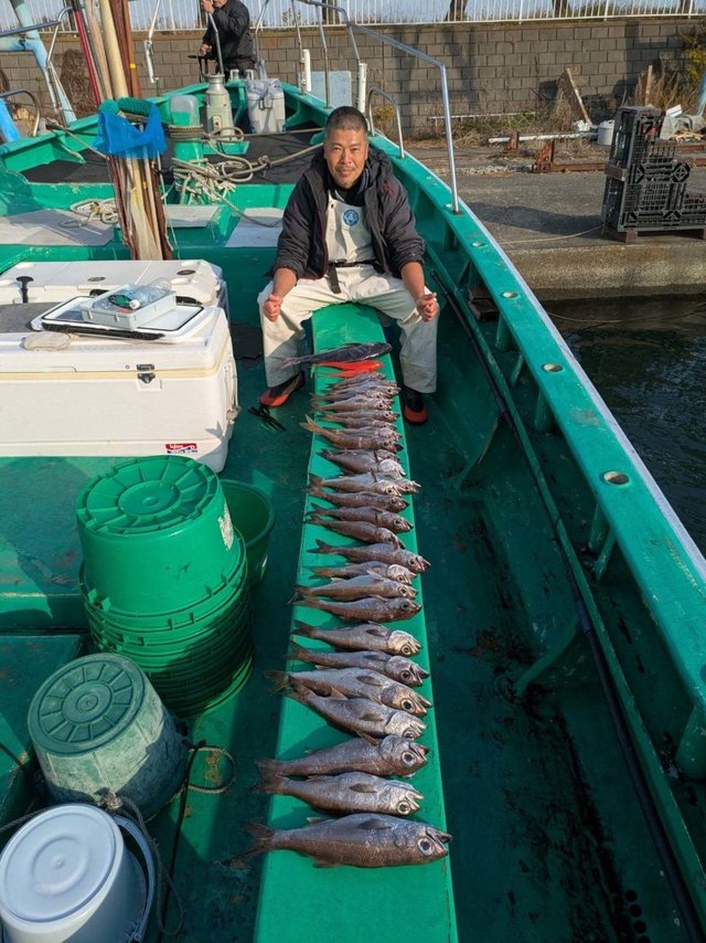 シロムツ(オオメハタ)