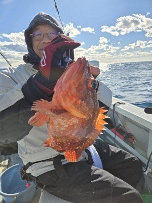 カンコ(ウッカリカサゴ)