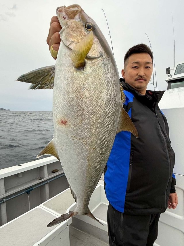 ヒレナガカンパチ