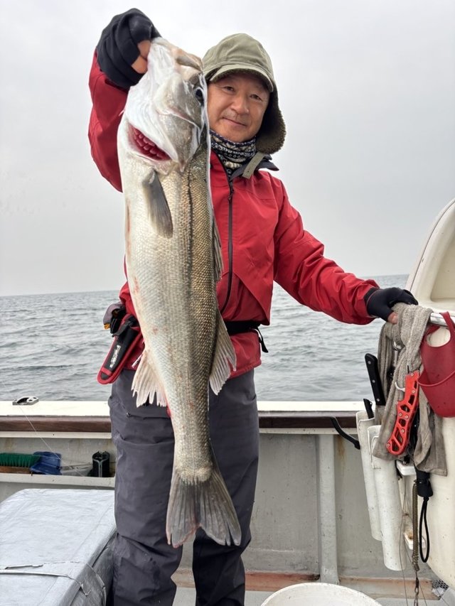 シーバス(スズキ)