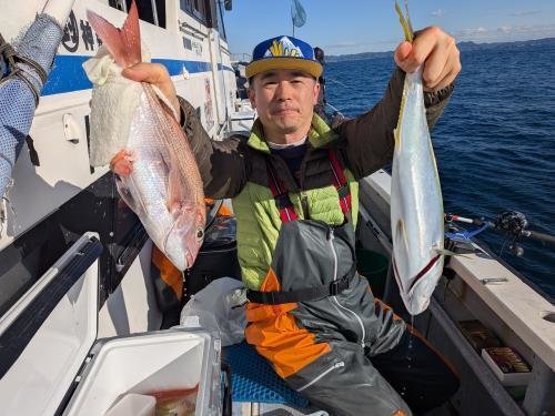 マダイ・イナダ(ブリ)