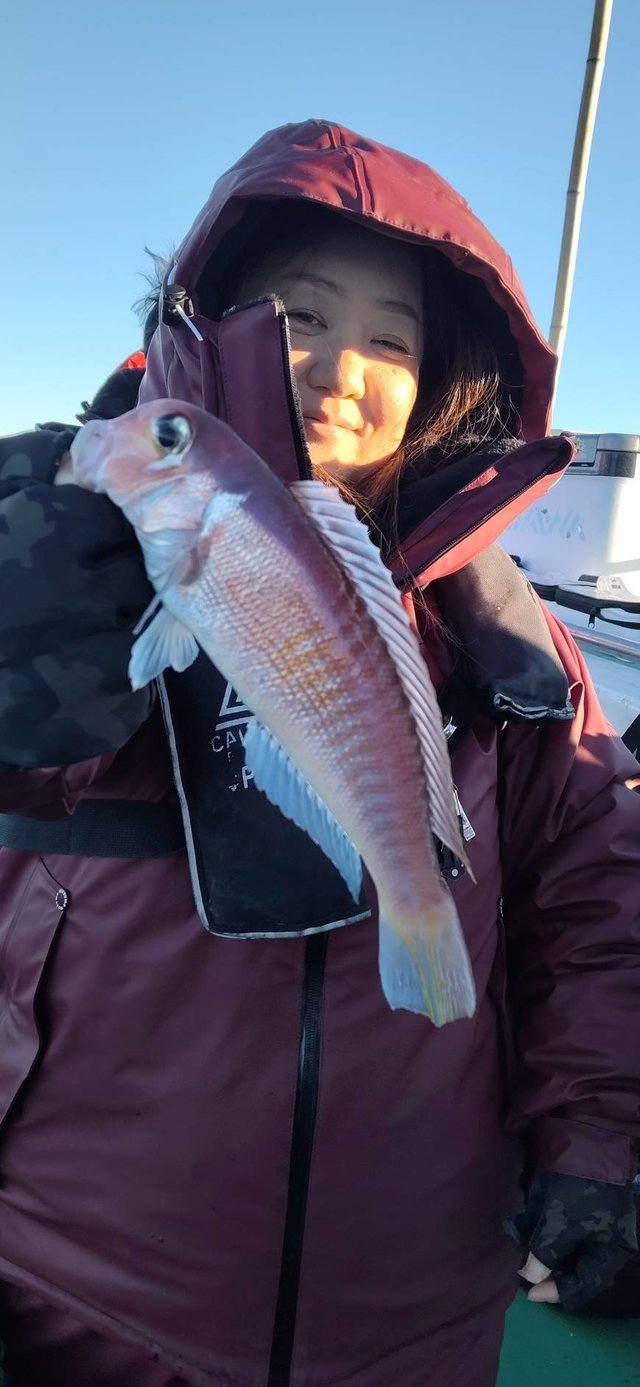 アマダイ(アカアマダイ)