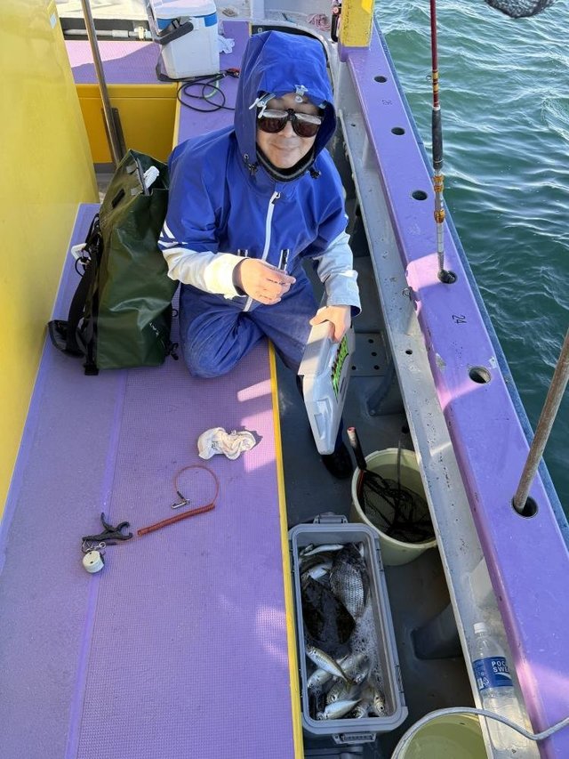 クロダイ・アジ(マアジ)