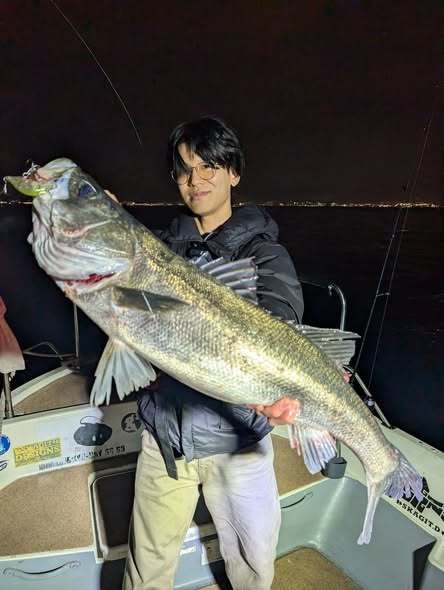 シーバス(スズキ)