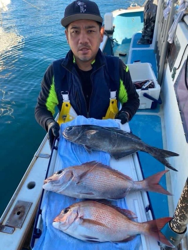 マダイ・メダイ