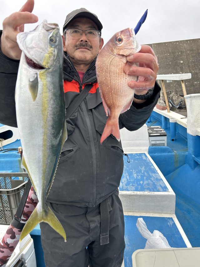 マダイ・イナダ(ブリ)