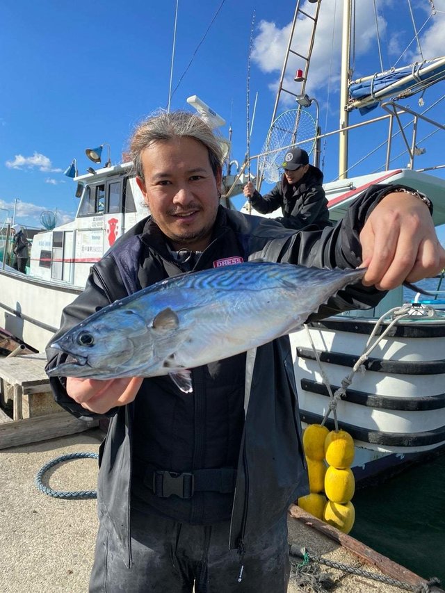 スマガツオ(スマ)