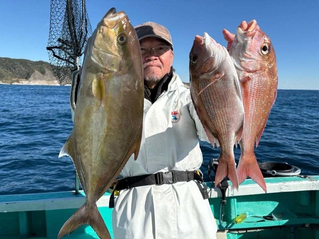 マダイ・ヒレナガカンパチ