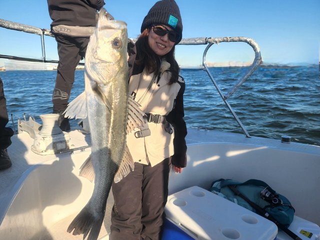 シーバス(スズキ)