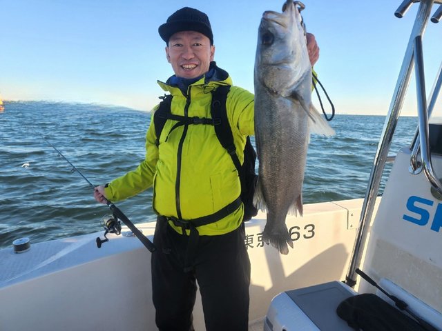 シーバス(スズキ)