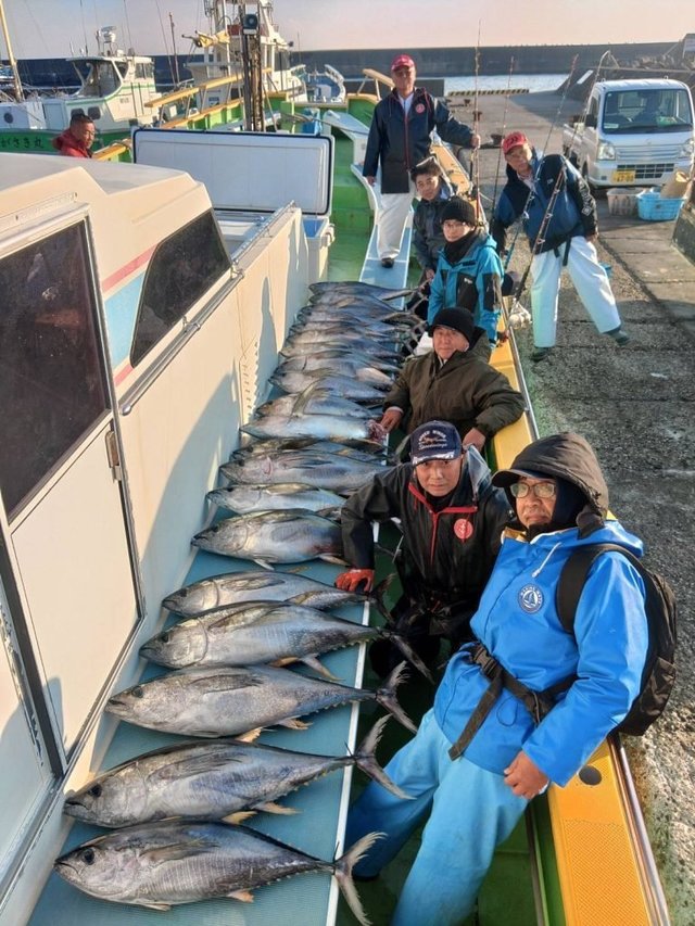 キメジ(キハダ)・カツオ