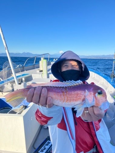 アマダイ(アカアマダイ)