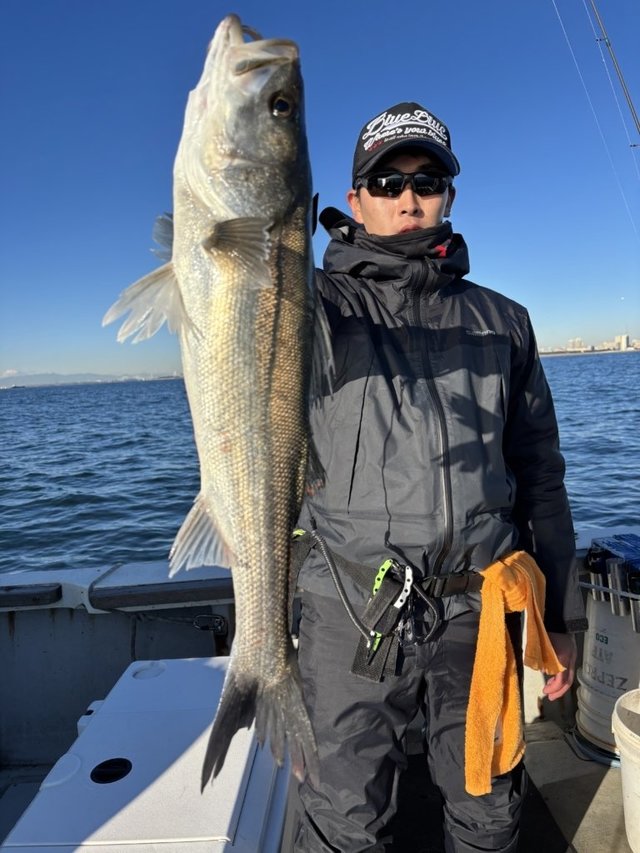 シーバス(スズキ)