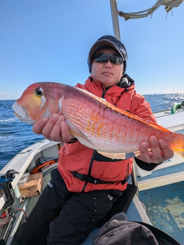 アマダイ(アカアマダイ)