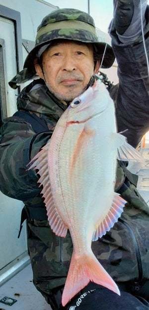 ハナダイ(チダイ)